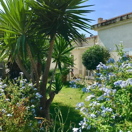 Dama Villaggio Del Golfo *